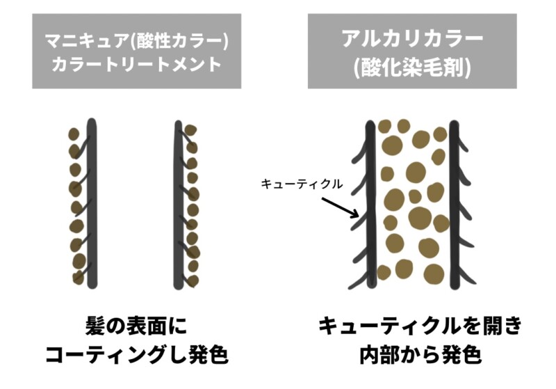 酸性カラーと酸化染毛剤の違い